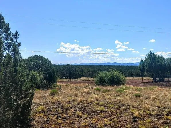 8594 Deer Run Dr, Show Low, AZ 85901