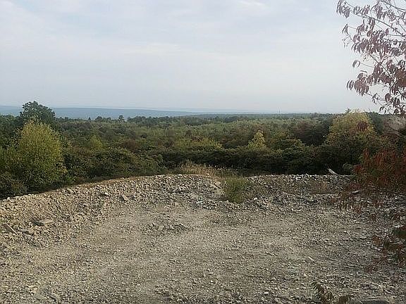 Lovely Area