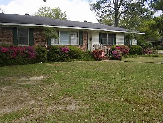 Azaleas Bloom in Spring