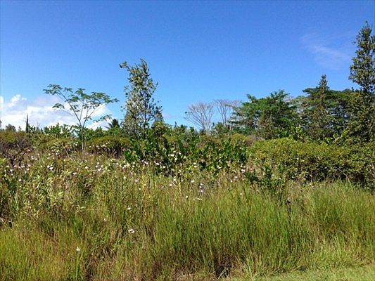 2nd image of Beach & Pilikai Lot 26