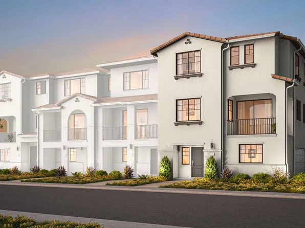 Plan 2 Plan, Poppy Lane