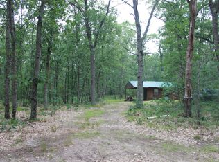 6564 W Seven Mile Rd, Irons, MI 49644