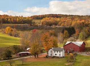 280 W Peakes Brook Rd, Delhi, NY 13753