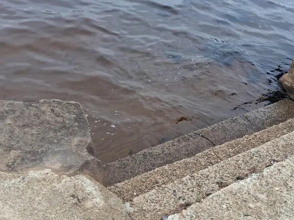 0 Island Rd, Lakeville, MA 02347