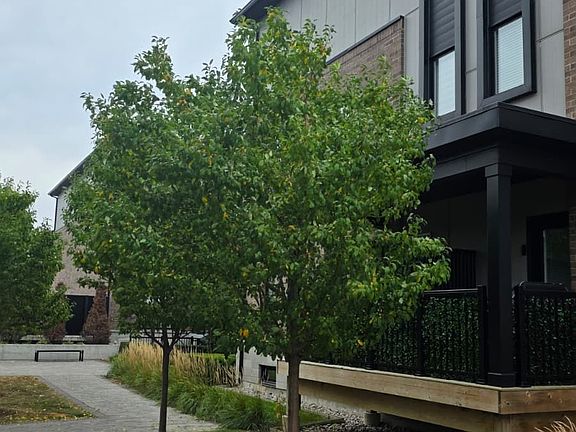 5th image of 1208 Main St E Unit 203