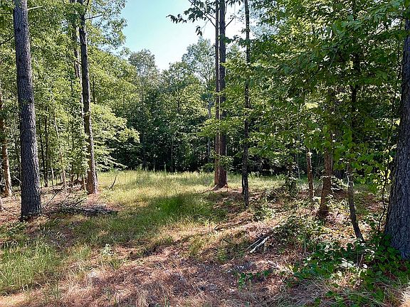 Lot 99 - Pad and driveways 