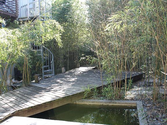 Bamboo garden / green space