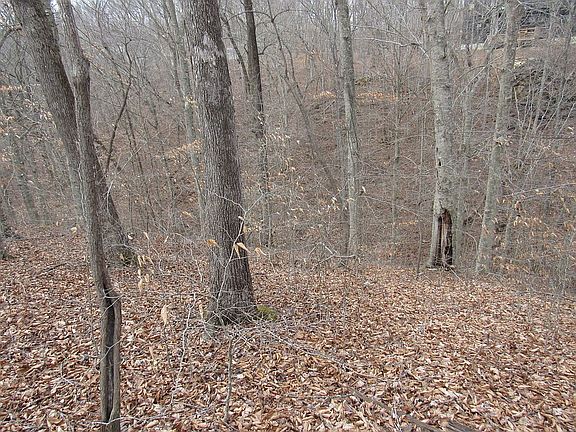 5th image of 0 Woods At Wolf Crk