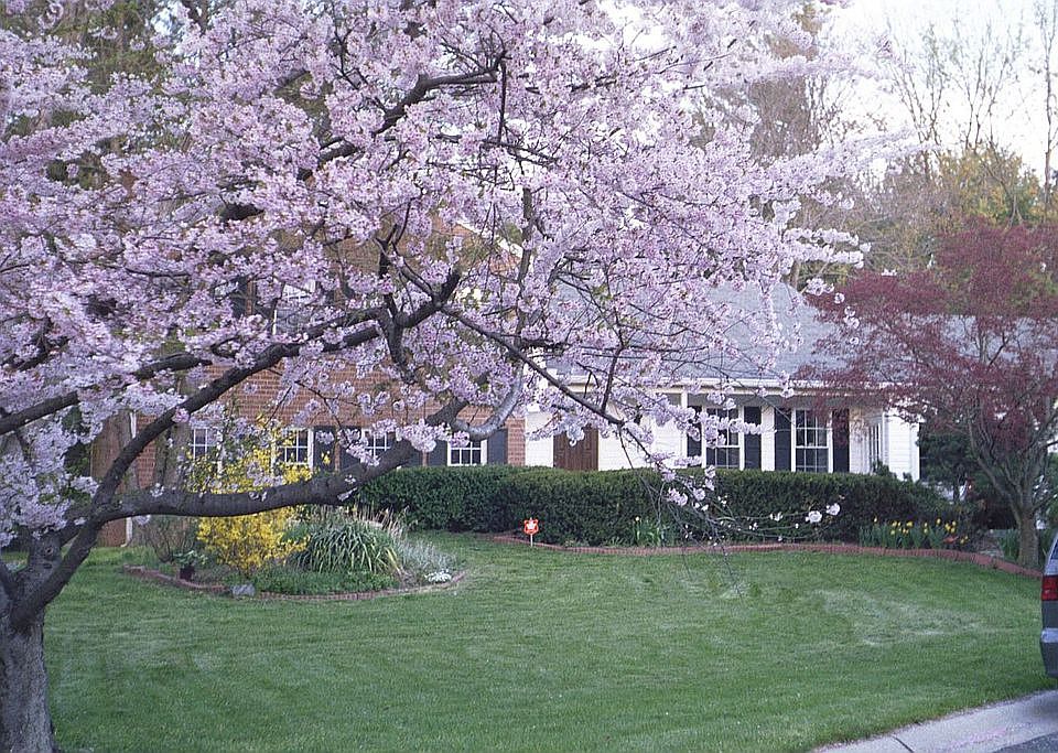 2nd image of 9 Dunleith Ct