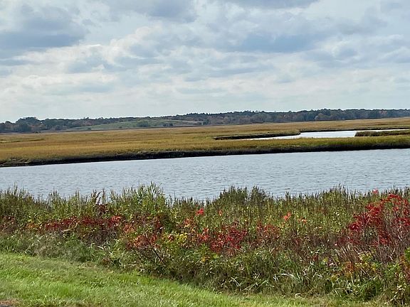 marsh view