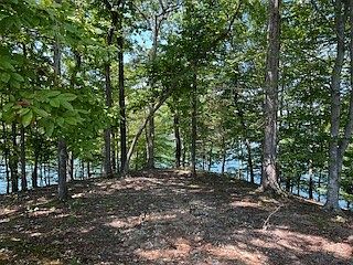 4th image of 0 Abbe Pl Lot 159