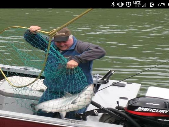 Great Springer Fishing 