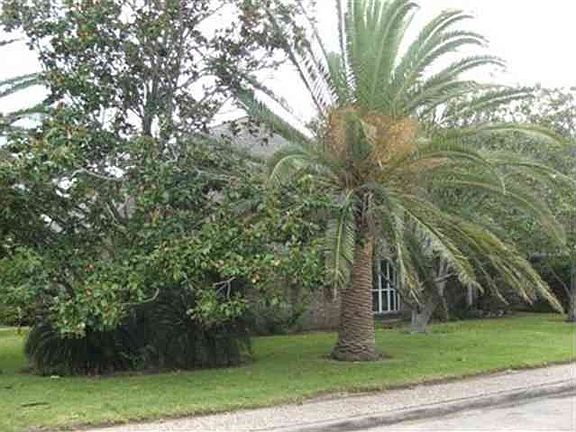 2nd image of 7 Colony Park Dr