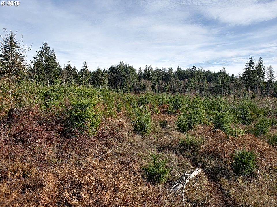 2nd image of 0 SE Warriner Rd