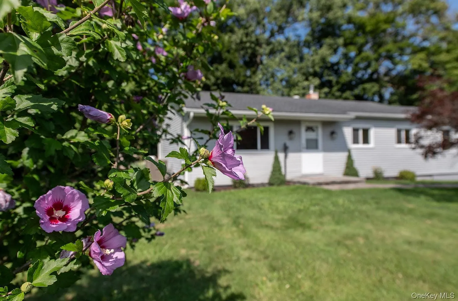 3 bed, 3.0 bath, 2200 sqft, $3,750 — Photo 4