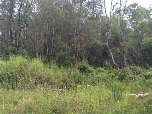 3rd image of Road 5 Lot 3806