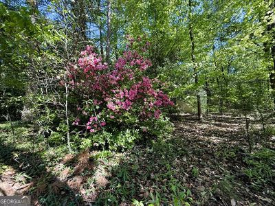 4655 Highway 29, Royston, GA, 30662