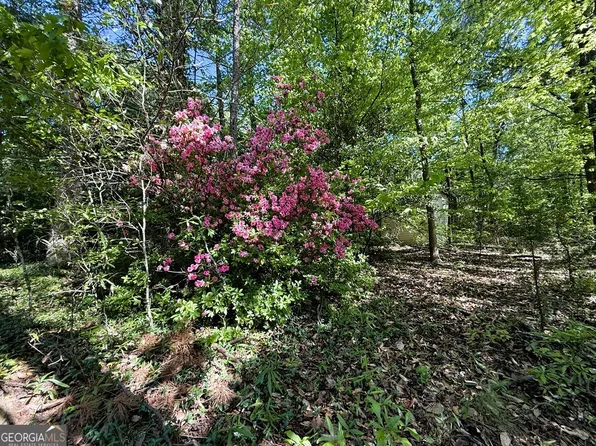 4655 Highway 29, Royston, GA 30662