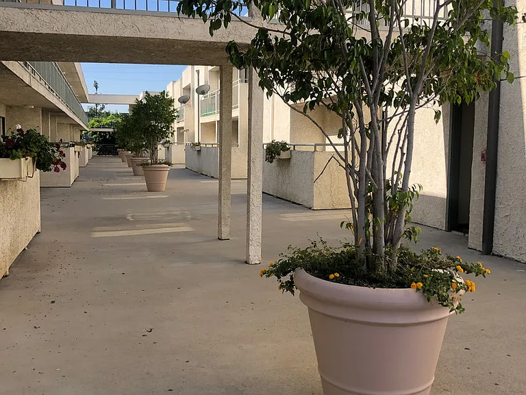 Northridge Place Apartments — Photo 16
