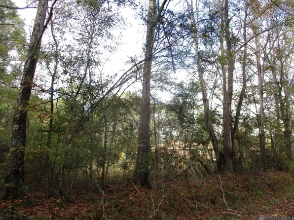 LOT Perkins Rd #B, Norwood, LA 70761