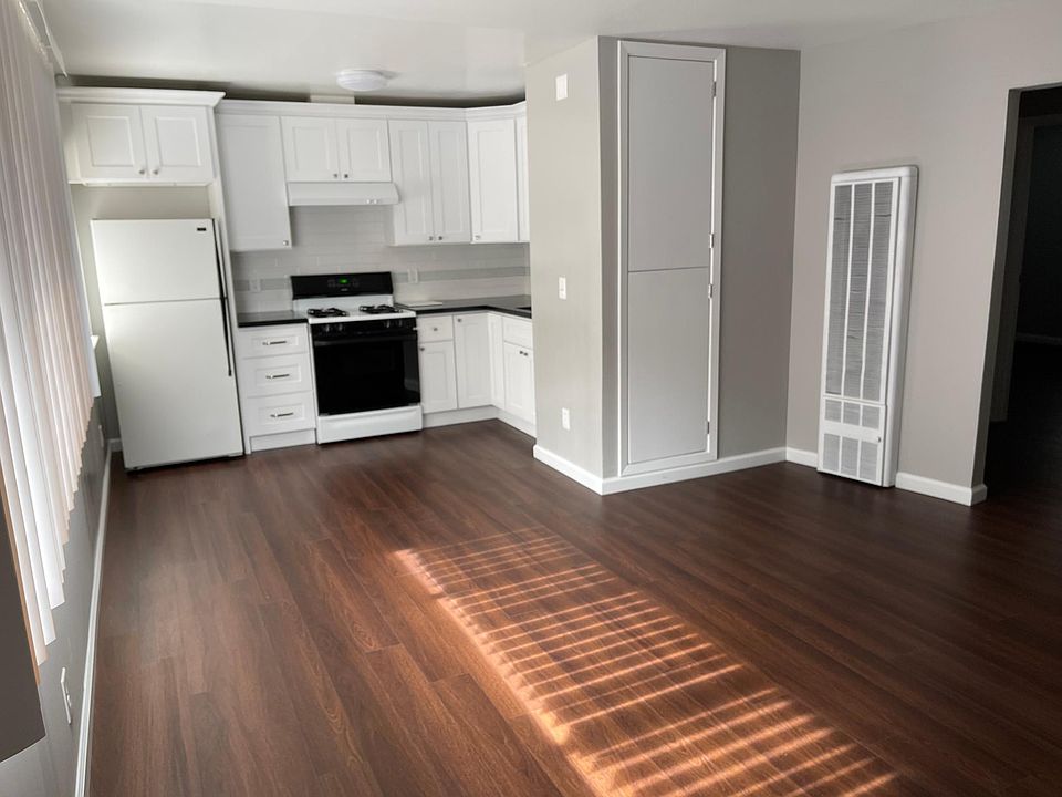 Open Kitchen / Living Room