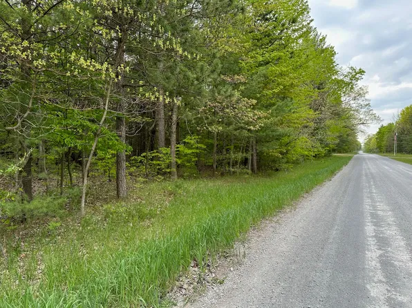 Vl N Sherman Rd, Ludington, MI 49431