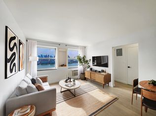 275 South St APT 13P, New York, NY 10002