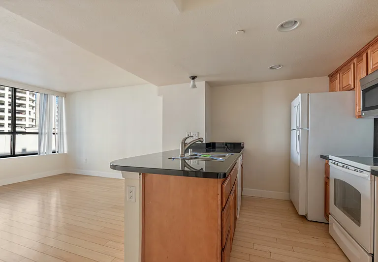 450 N Arlington Ave #502 — Photo 4