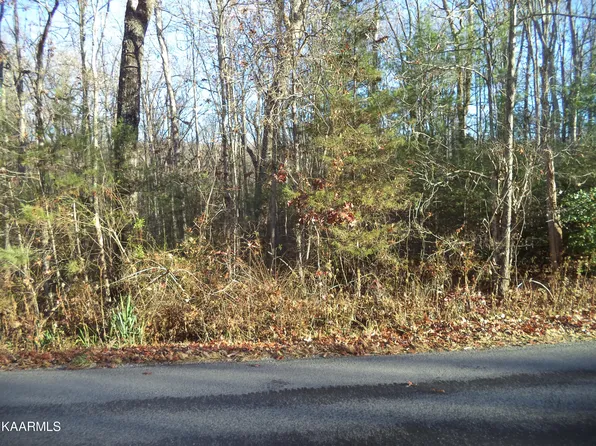 Station Camp Rd, Oneida, TN 37841