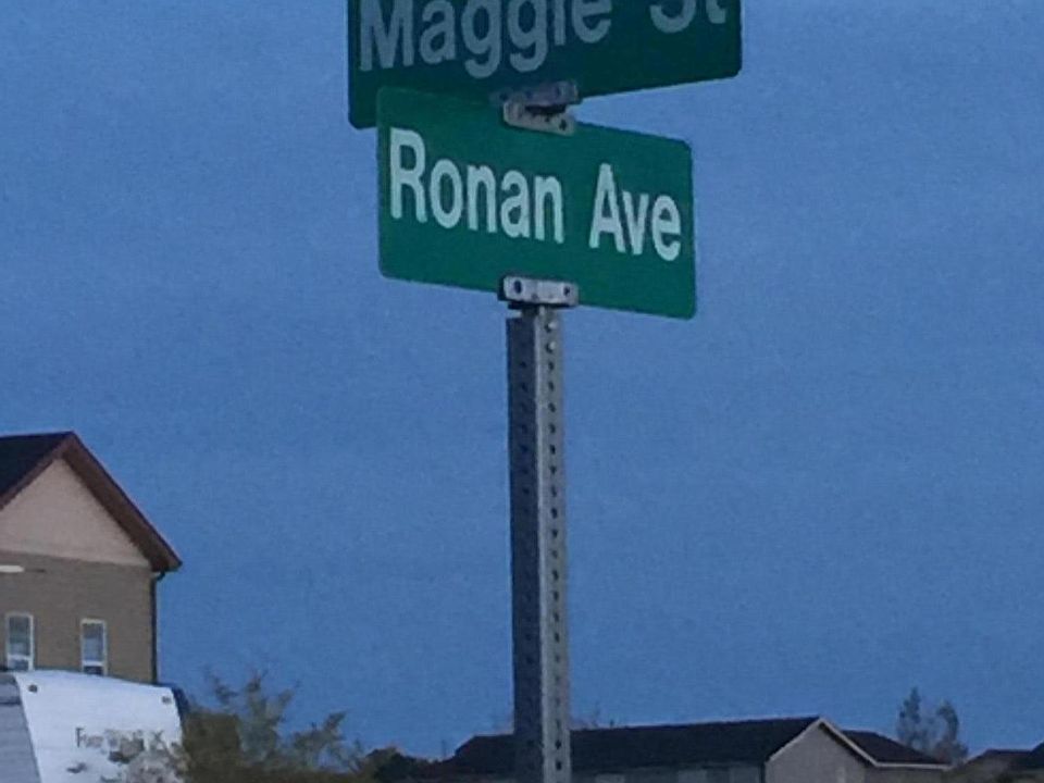 2nd image of 13315 Maggie St