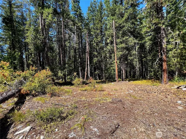 37 Noble Lane, Leavenworth, WA 98826