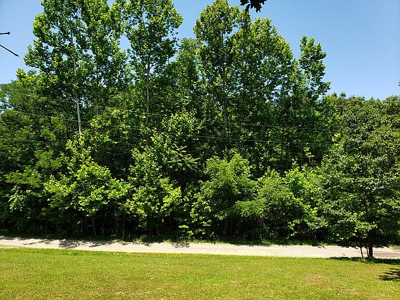 3rd image of 111 Wilson Pl