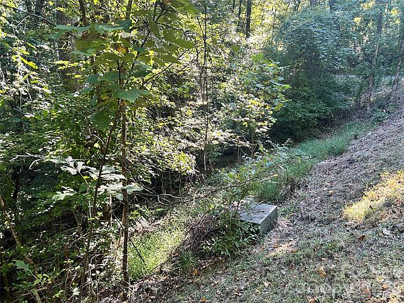 3rd image of Mount Hebron Rd #36