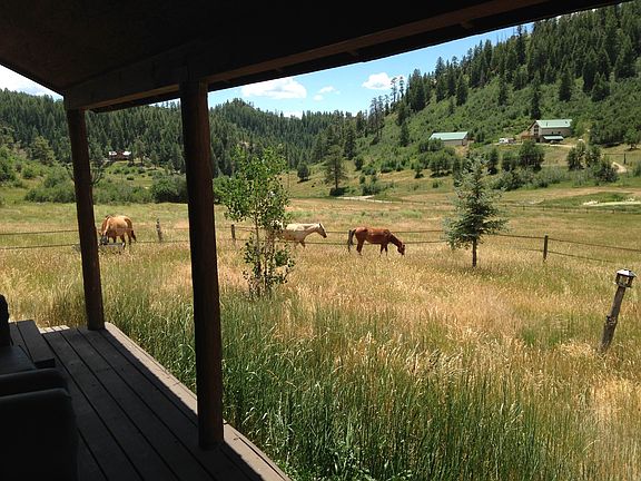 5.4 acre lot view from porch