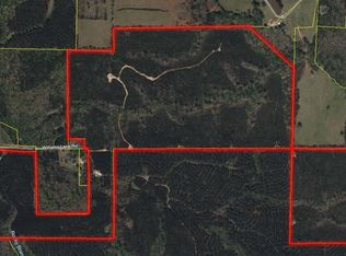 770 Williams Rd, Shiloh, GA 31826