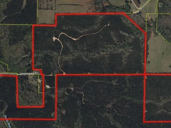 770 Williams Rd, Shiloh, GA 31826