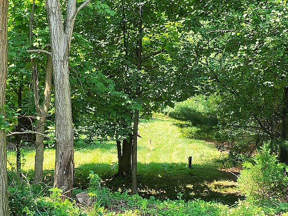 3rd image of LOT 21 Primrose Ln