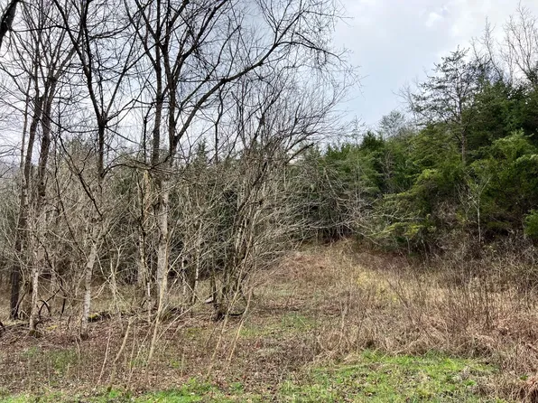 0 Mountain Loop Rd, Thorn Hill, TN 37881