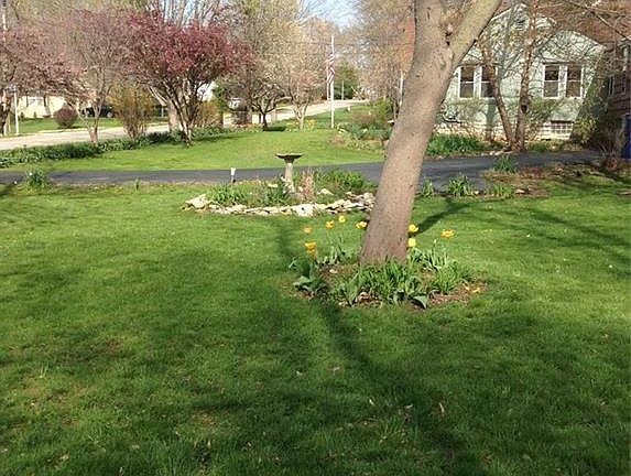 4th image of 8117 W 61st St