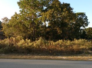 13253 Branchville Rd, Spring Hill, FL 34609