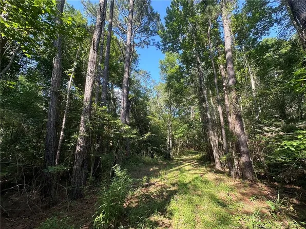 0 Pinckard Rd, Colfax, LA 71417