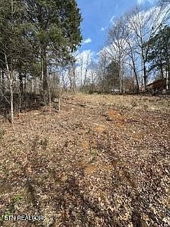 3rd image of Lake Hollow Rd