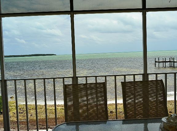Ocean view
