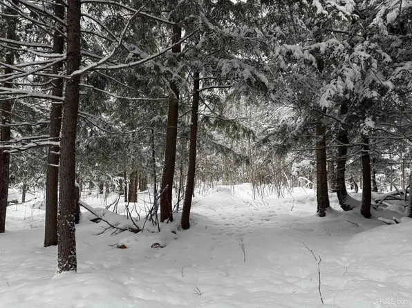 Tbd20 Mud Lake Rd, Lake Linden, MI 49945