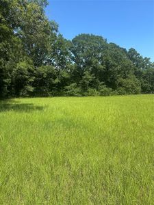 0 Highway 371, Cotton Valley, LA, 71018