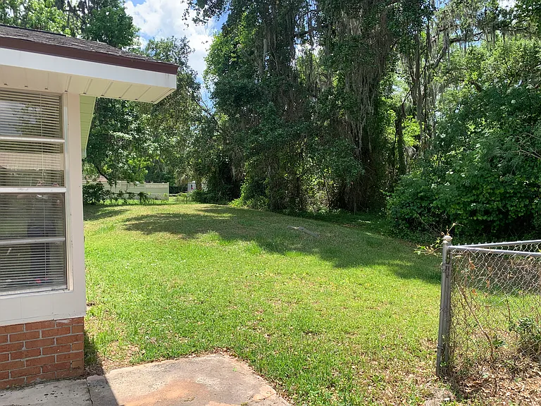 Backyard