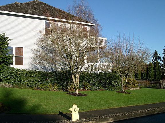 Side Yard