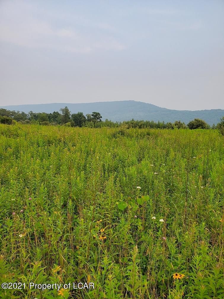 Saint Johns Rd, Drums, PA 18222 Zillow