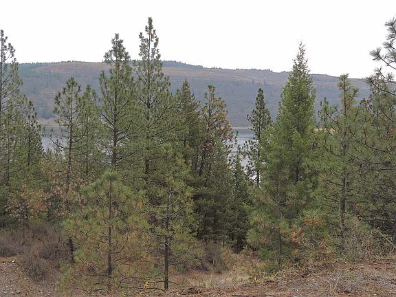 2nd image of 42051 Porcupine Bay Rd N Lot 2