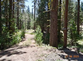 4640 Craig Rd, Portola, CA 96122